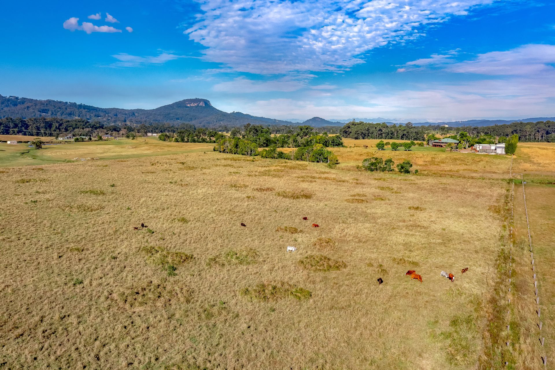 80 Carrs Road Bridges QLD 4561