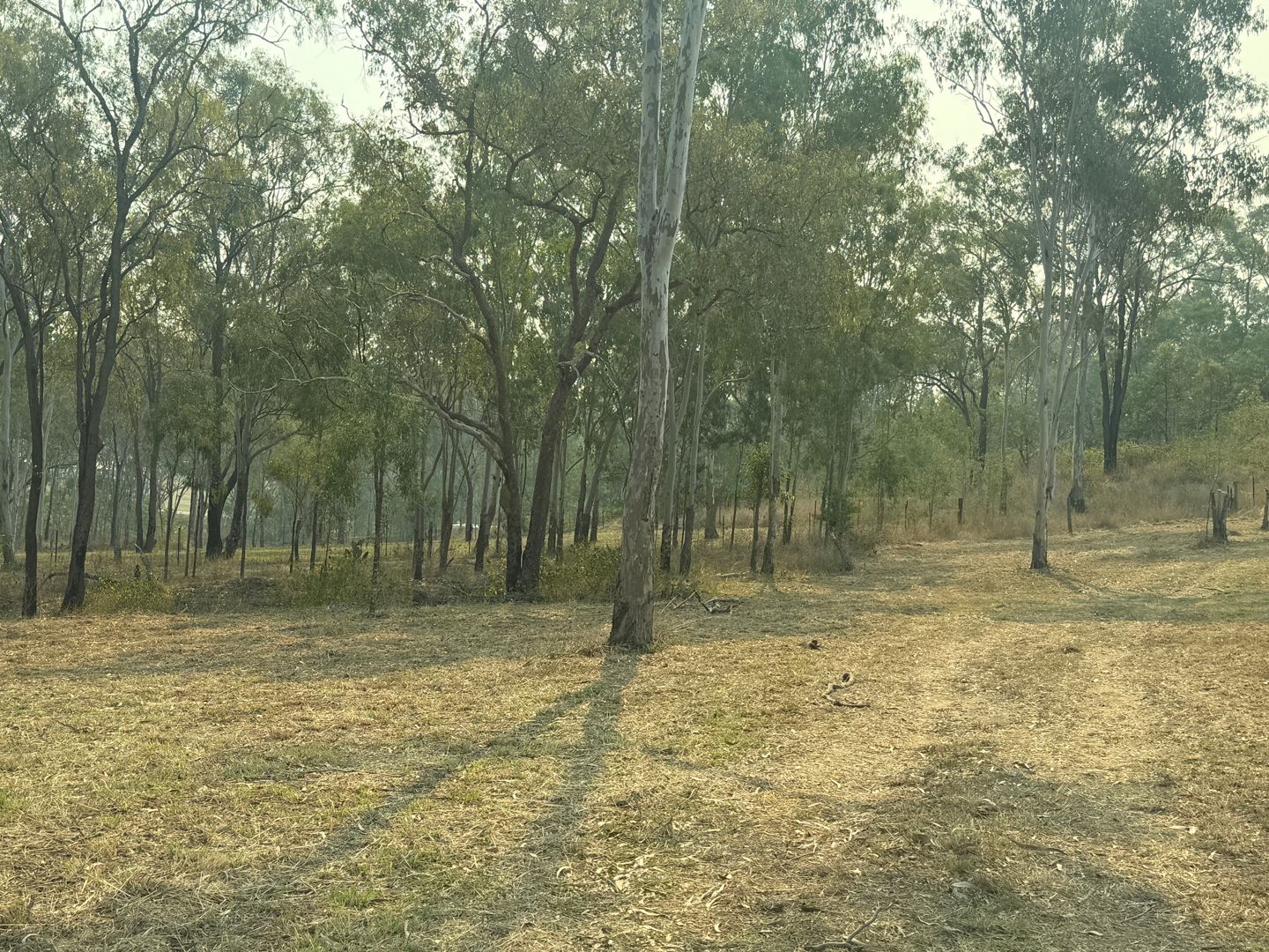 1a Cooks Road Hamilton Creek QLD 4714