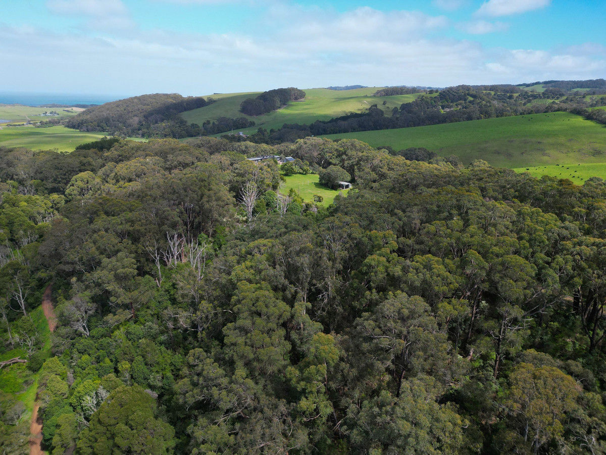 185 Red Johanna Road Johanna VIC 3238