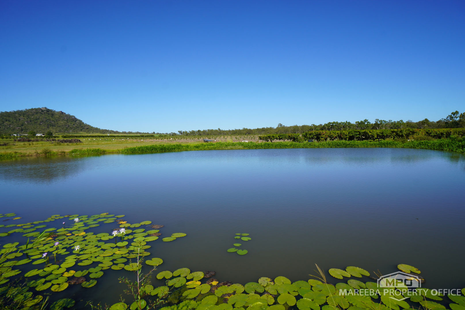 446 Chewko Road Mareeba QLD 4880