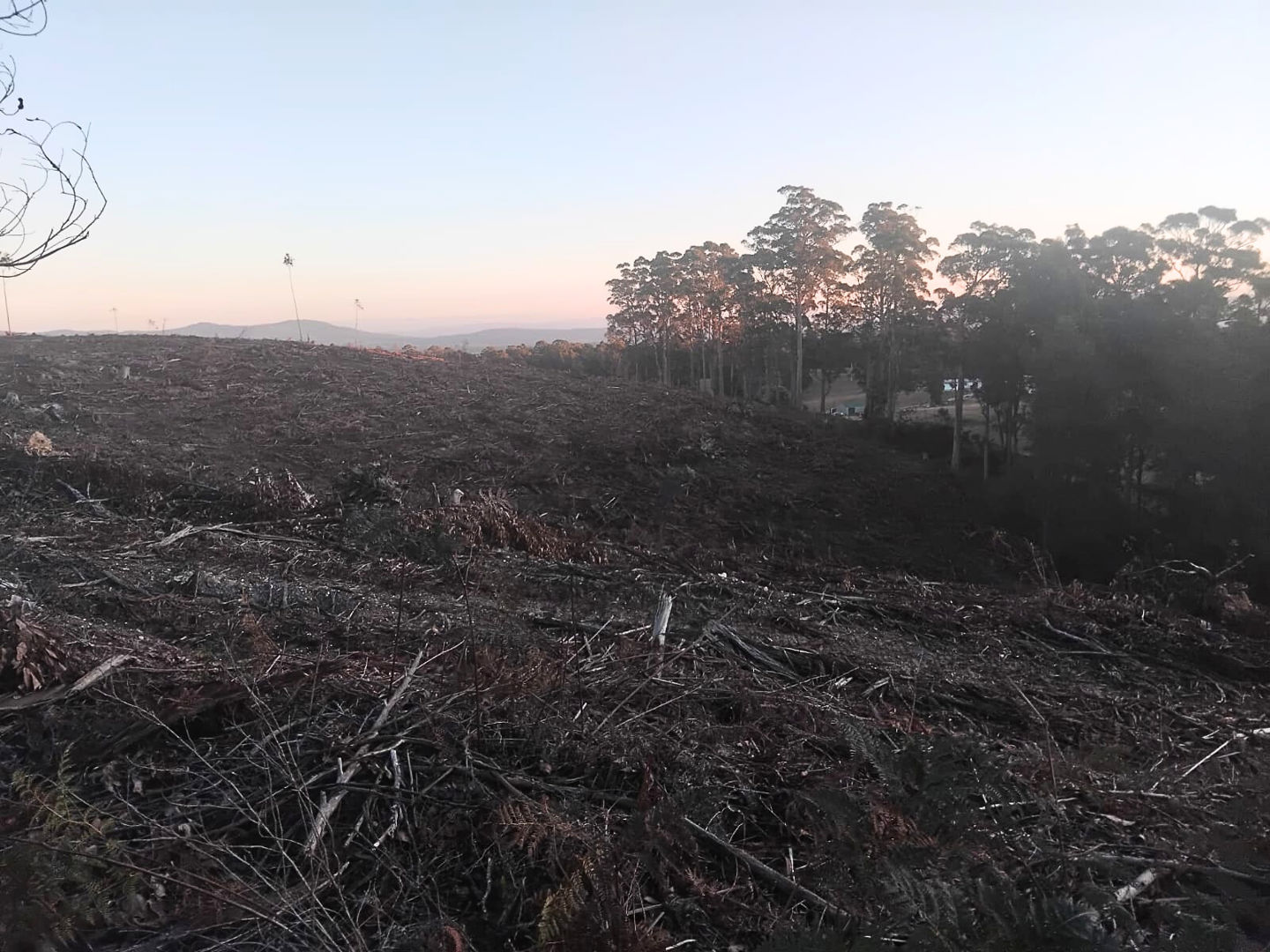 344 The Den Rd Pipers River TAS 7252