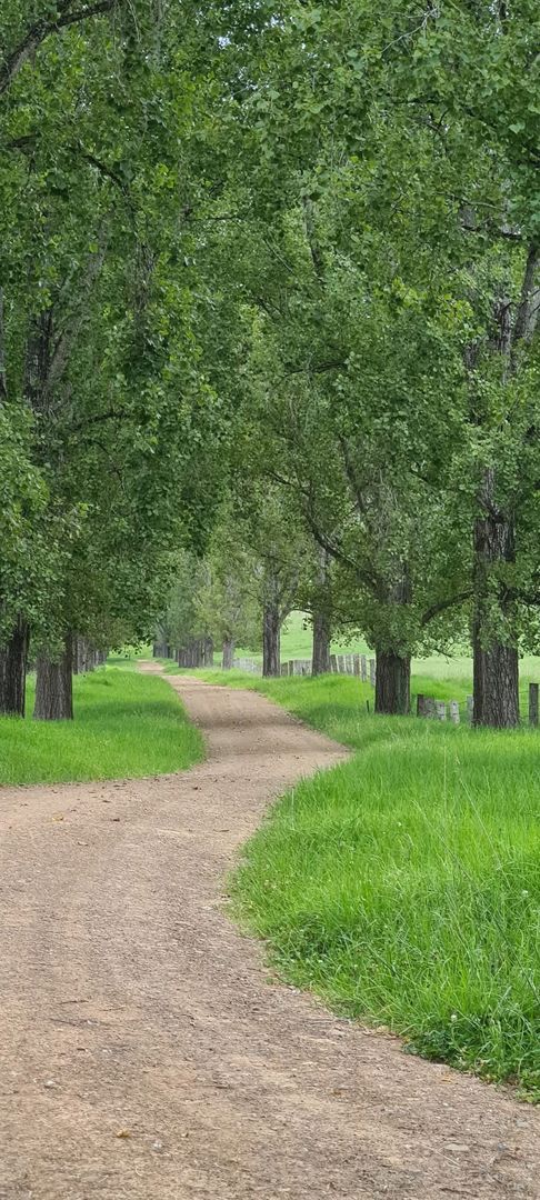 1301 Chichester Dam Road, Bandon Grove, Via Dungog NSW 2420