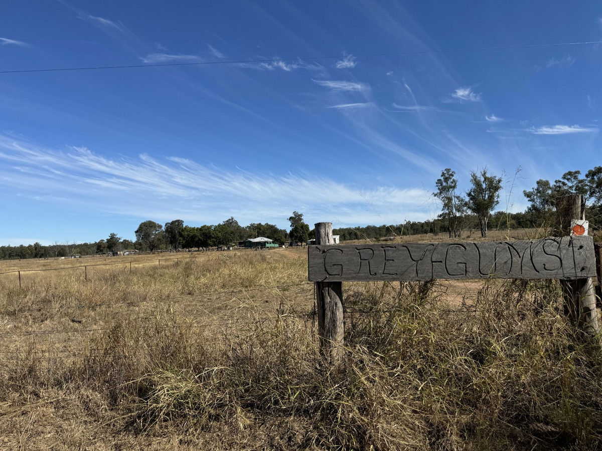 25731 Burnett Highway Cynthia QLD 4627