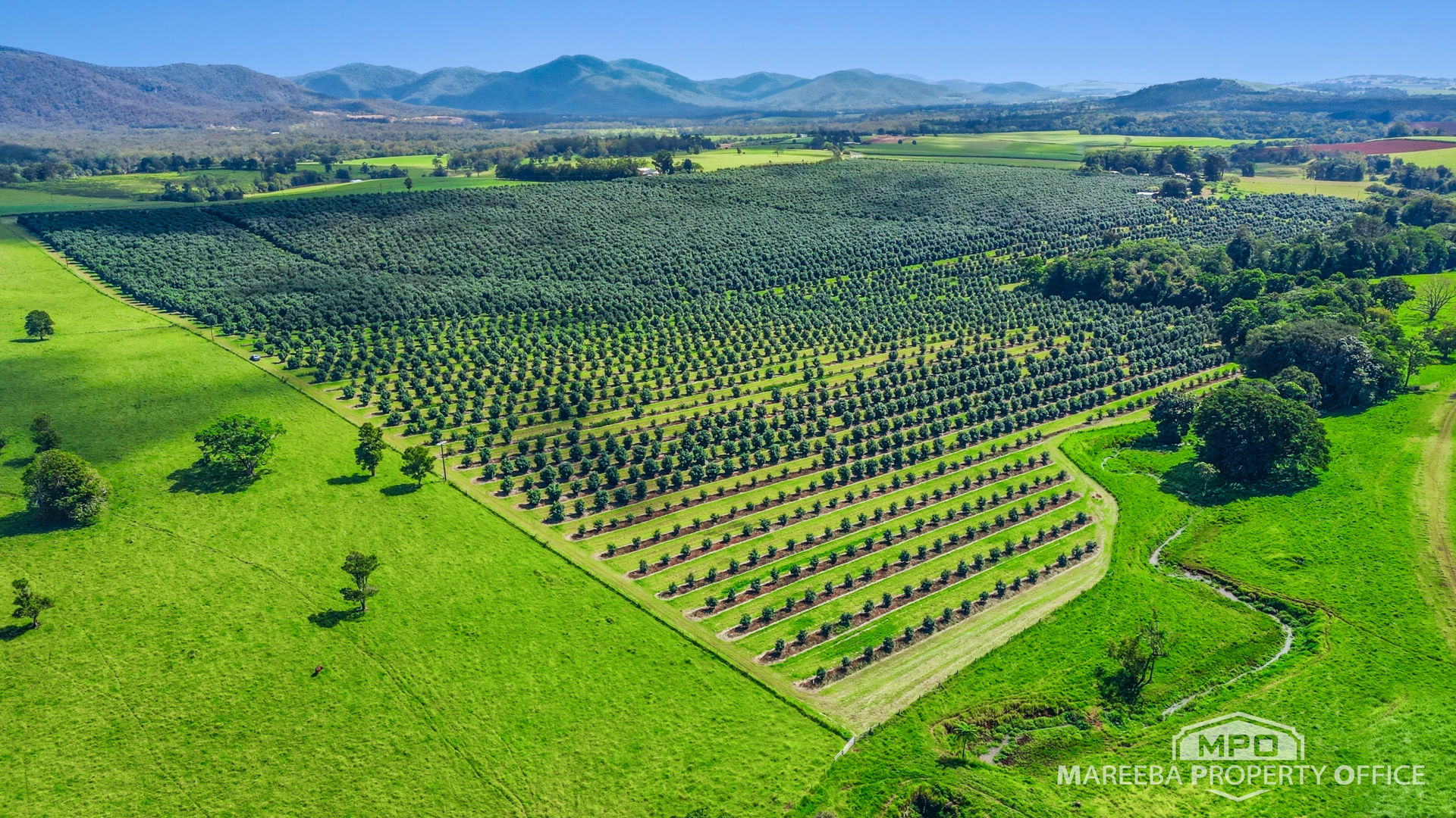 46 Hughes Road Upper Barron QLD 4883