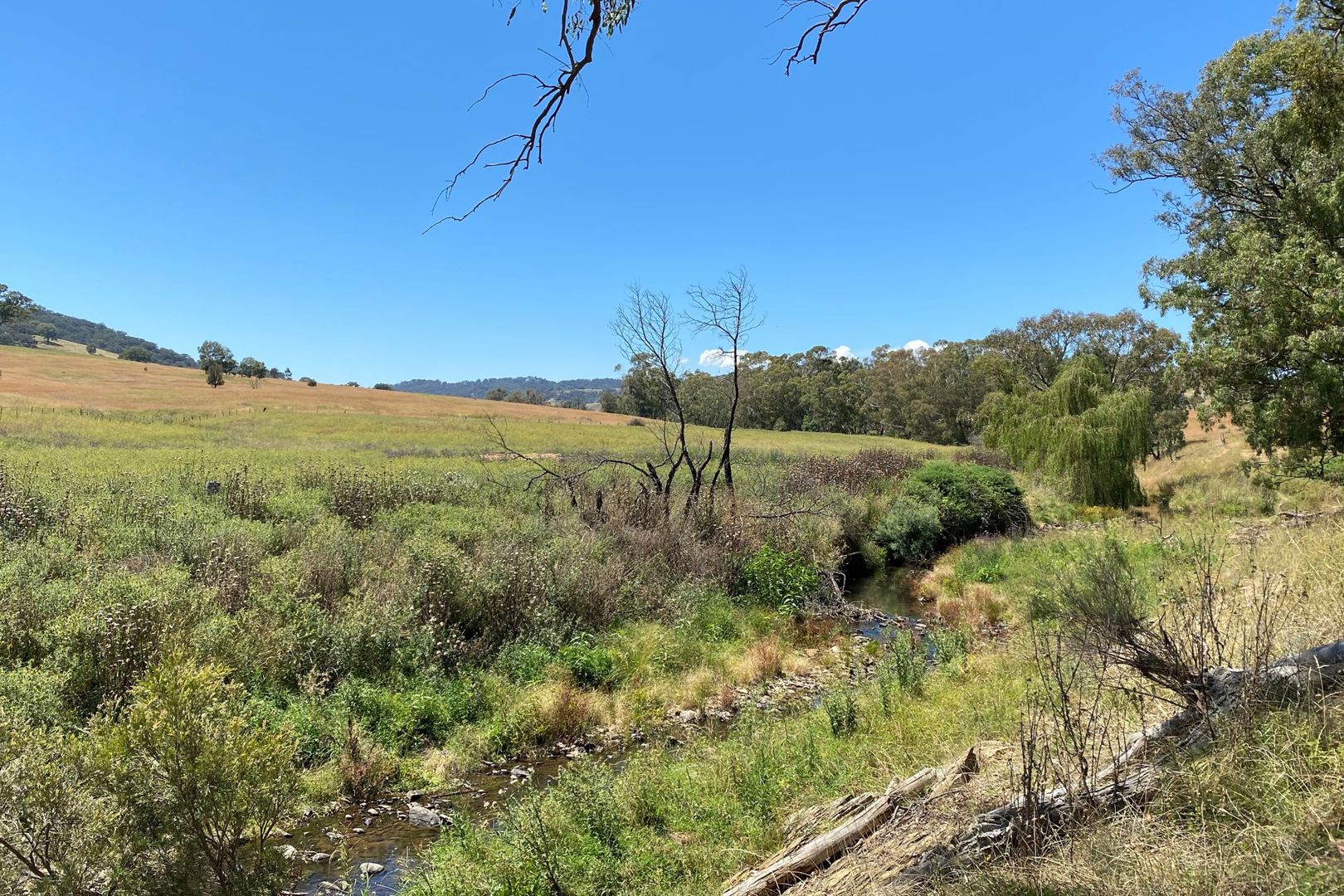  Campbells Creek Road Mudgee NSW 2850