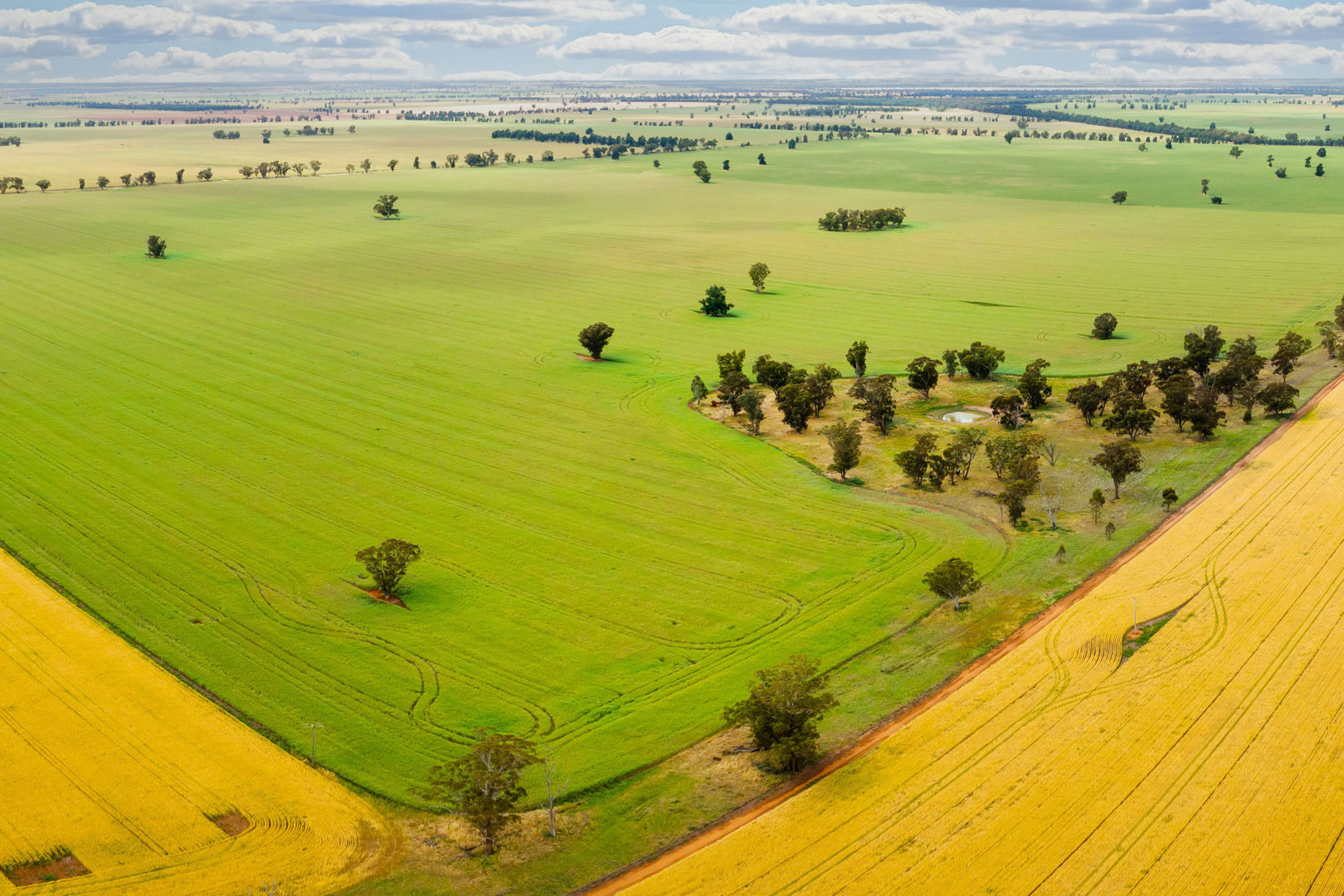  Cullivel Road Urana NSW 2645