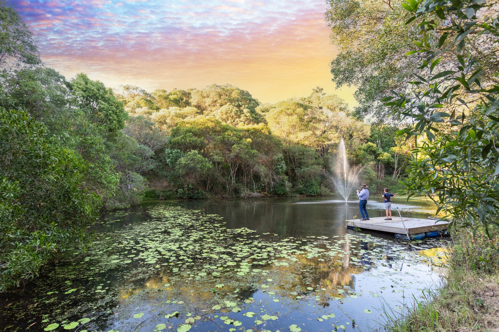 18 Brush Box Lane Federal QLD 4568