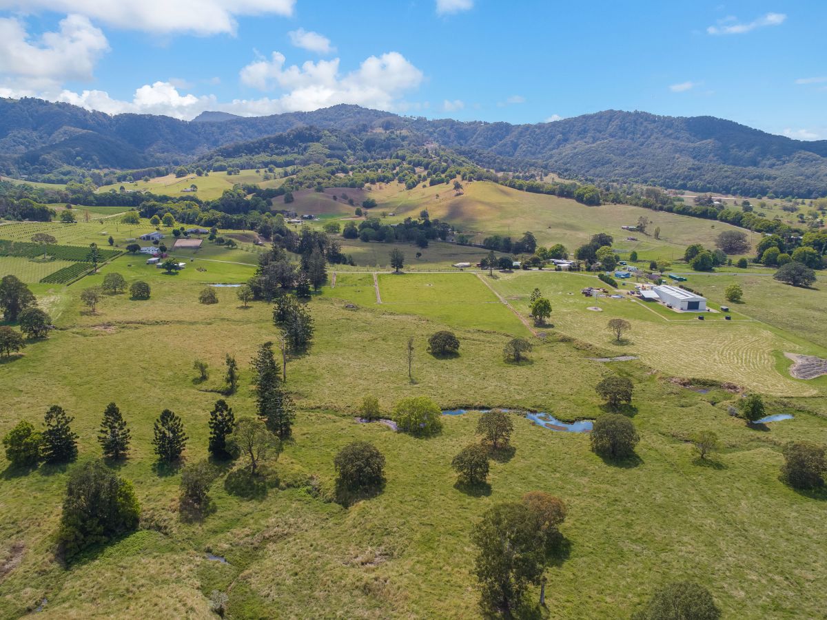 91 Dungay Creek Road Dungay NSW 2484