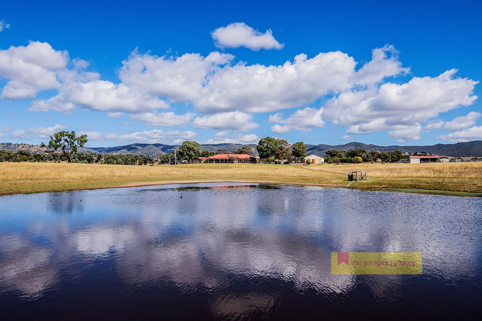 411 Spring Flat Road Mudgee NSW 2850