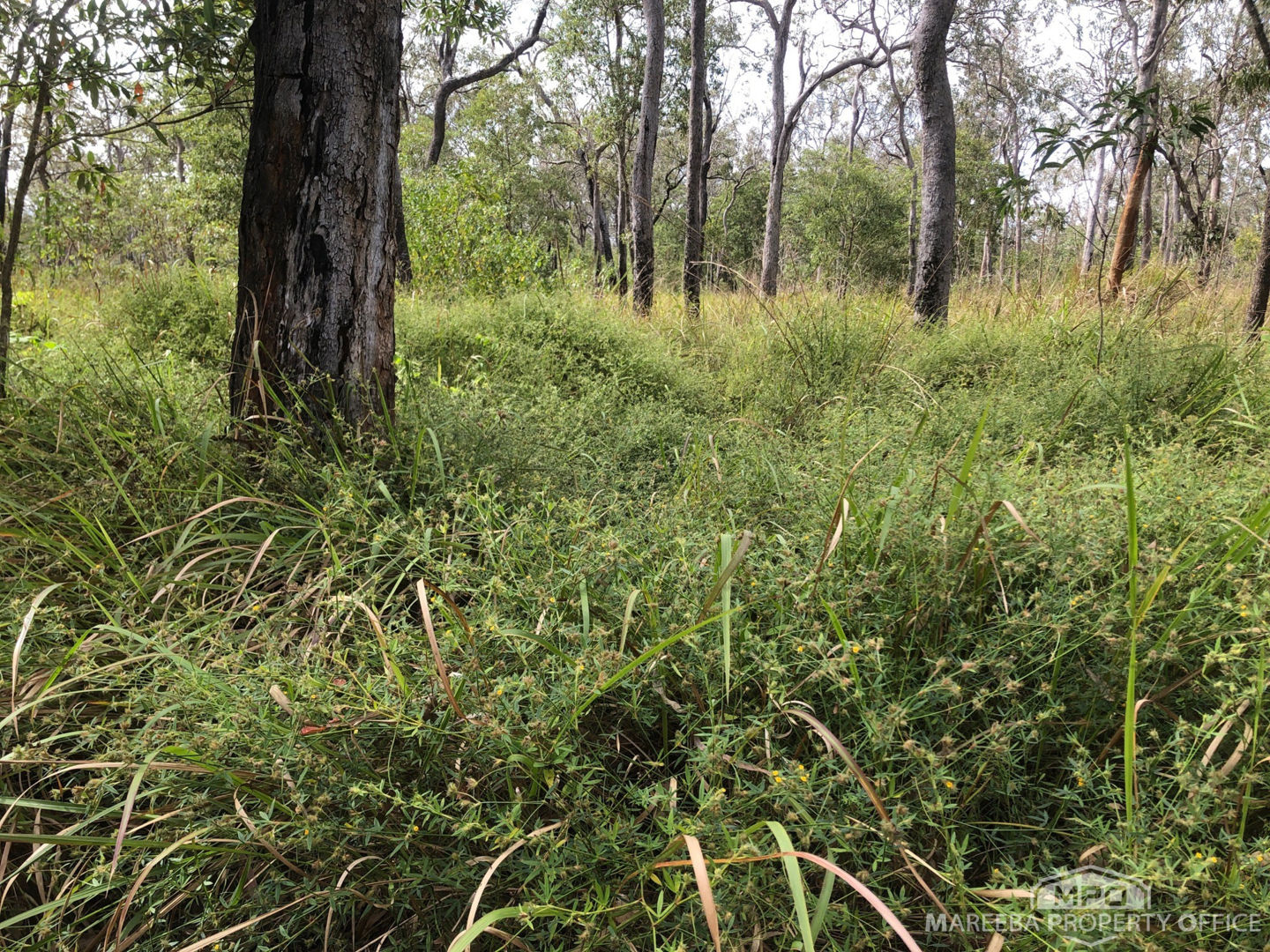 Lot 154 /  Hodzic Road Biboohra QLD 4880