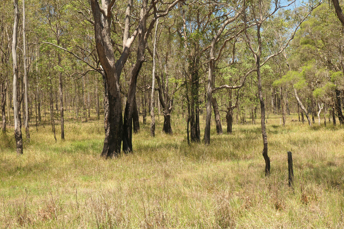 4 Kimbin Pikapene Road Tabulam NSW 2469