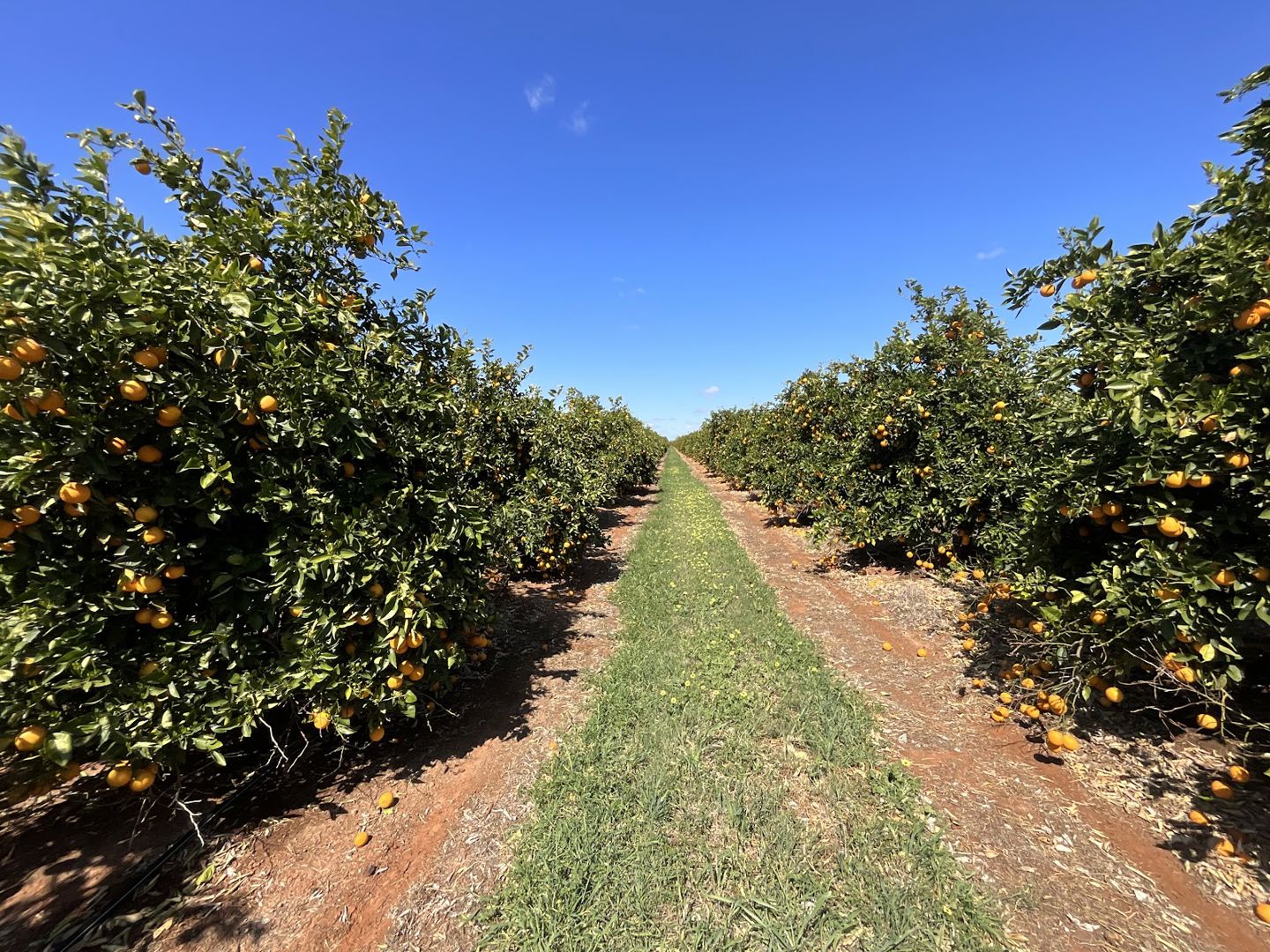 1058 Kidman Way Hanwood NSW 2680