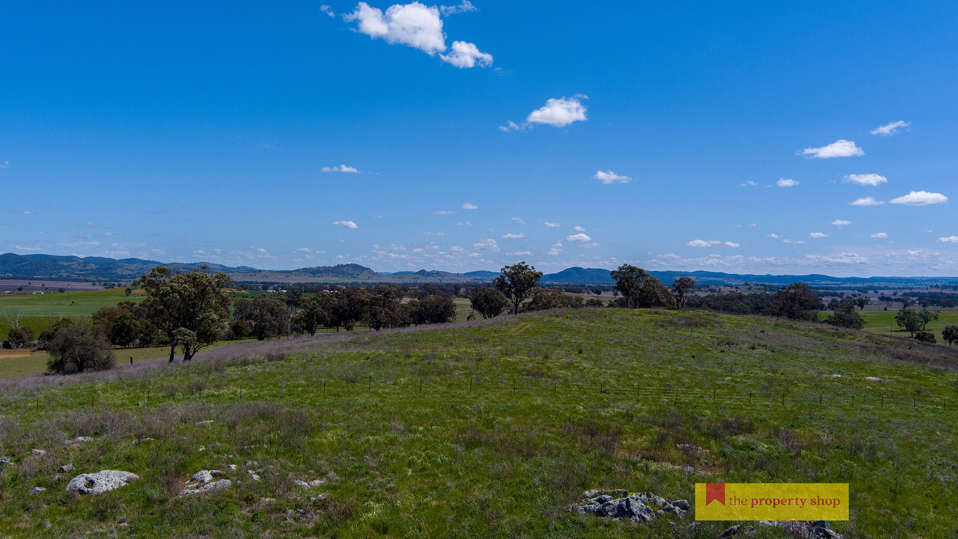 705 Springfield Lane Gulgong NSW 2852