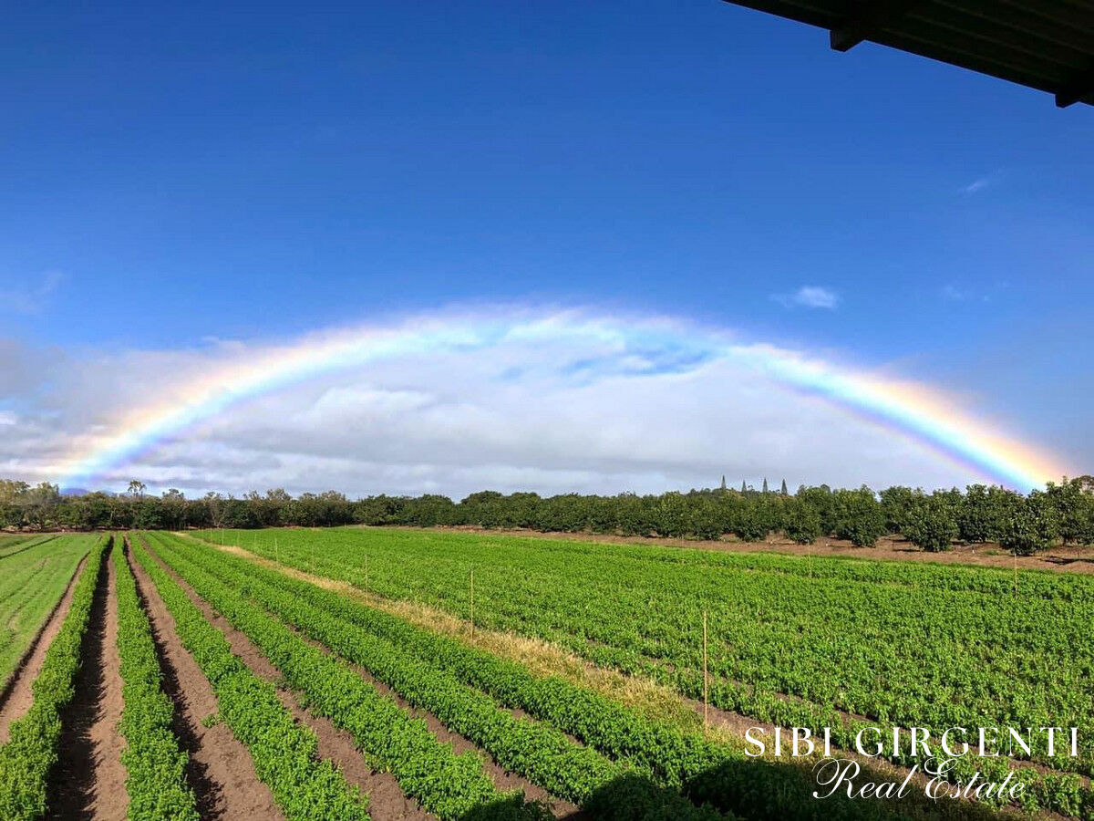 1611 Mareeba-Dimbulah Arriga QLD 4880