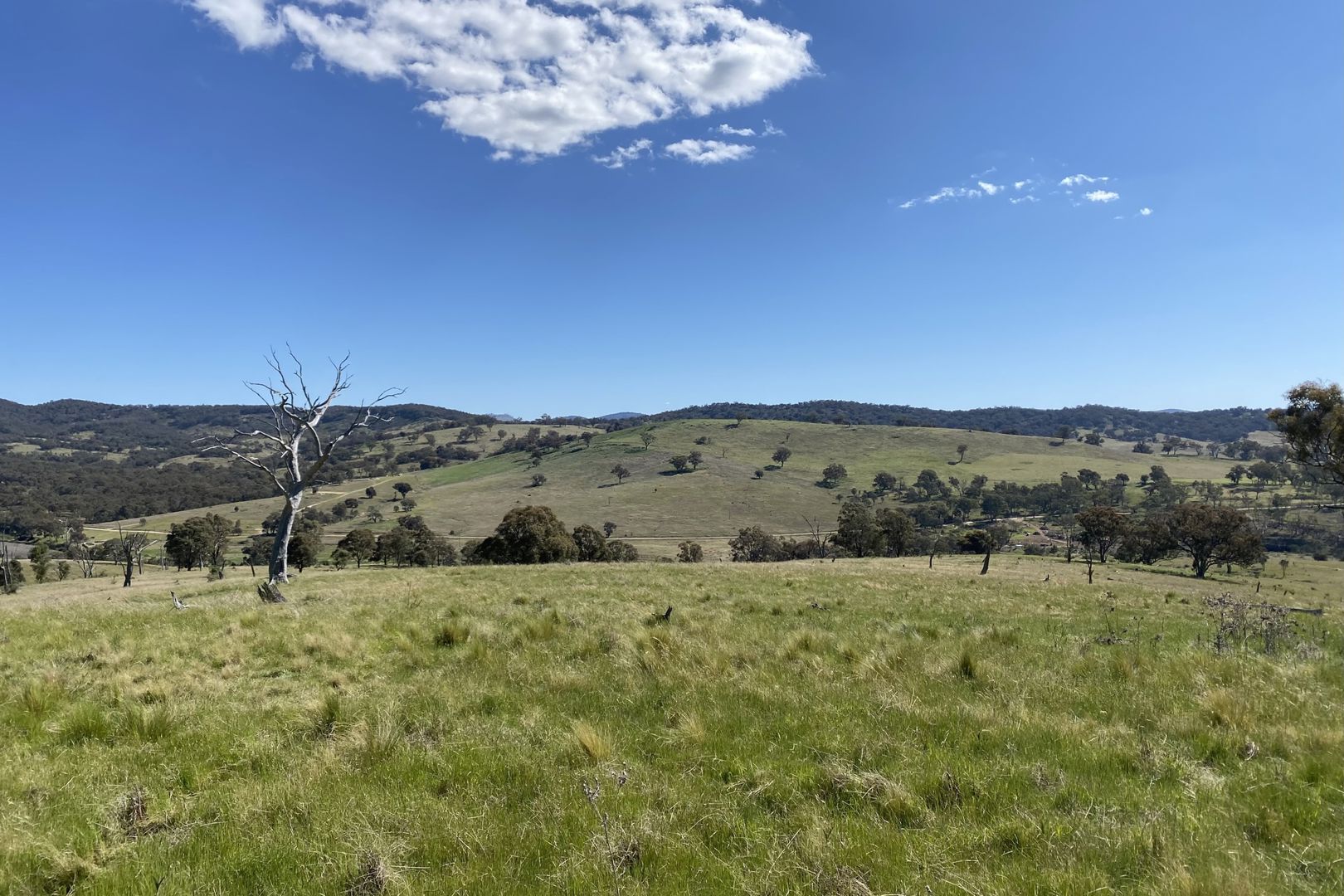  Campbells Creek Road Mudgee NSW 2850