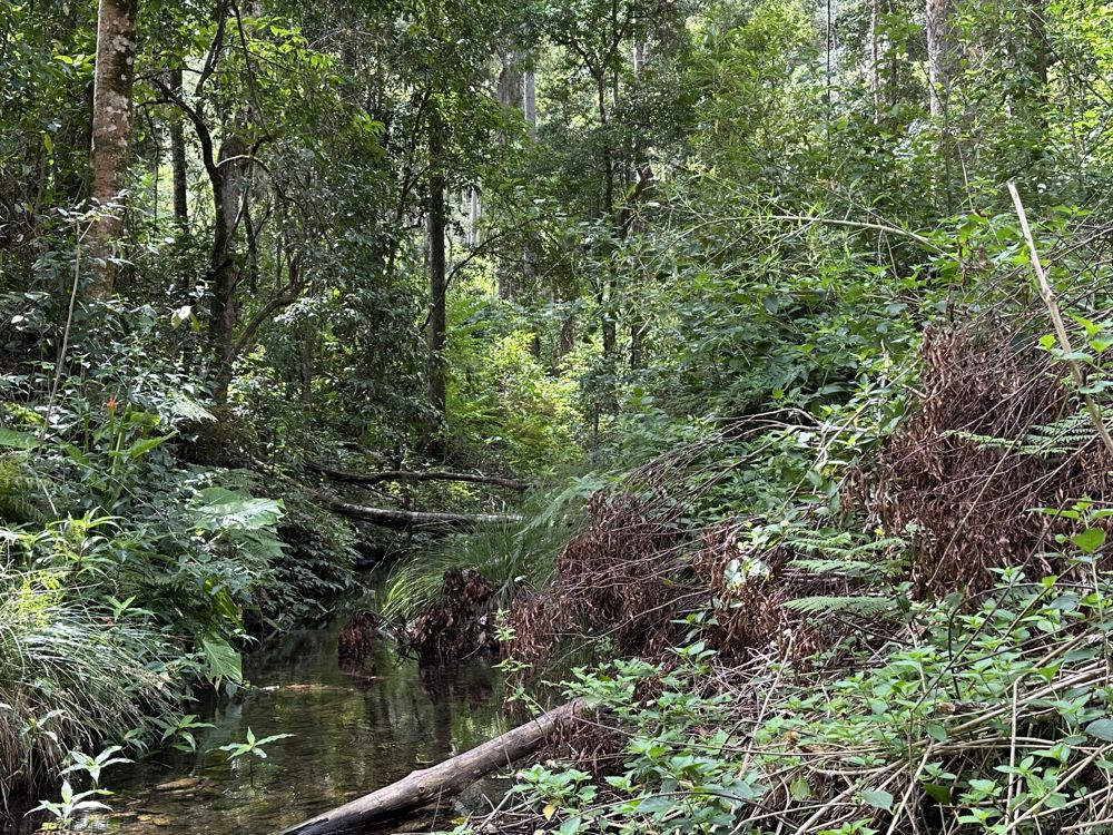 Address available by request