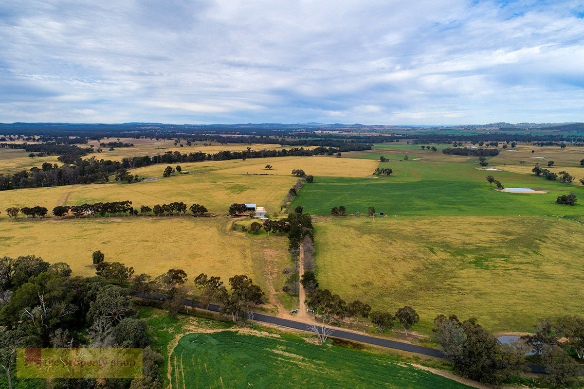 436 Spring Creek Road Gulgong NSW 2852