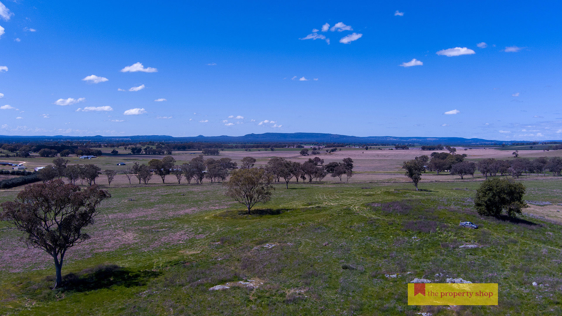 705 Springfield Lane Gulgong NSW 2852