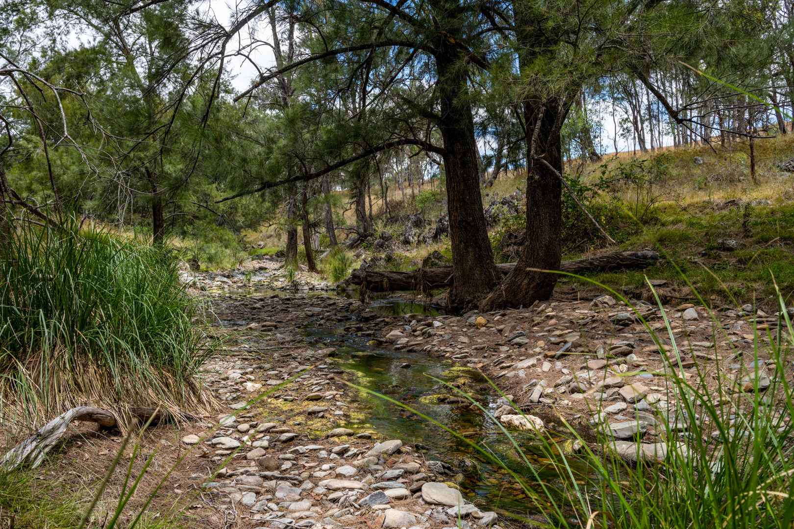  Windeyer Road Mudgee NSW 2850
