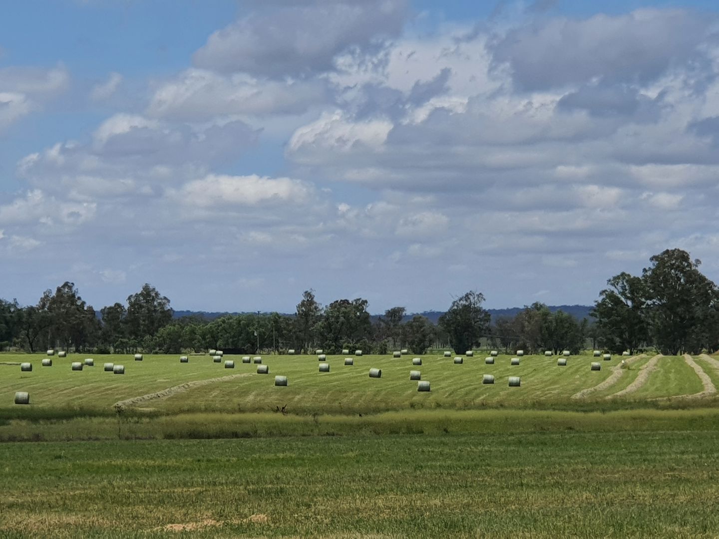 114 A Creek Road, Grosvenor Eidsvold QLD 4627