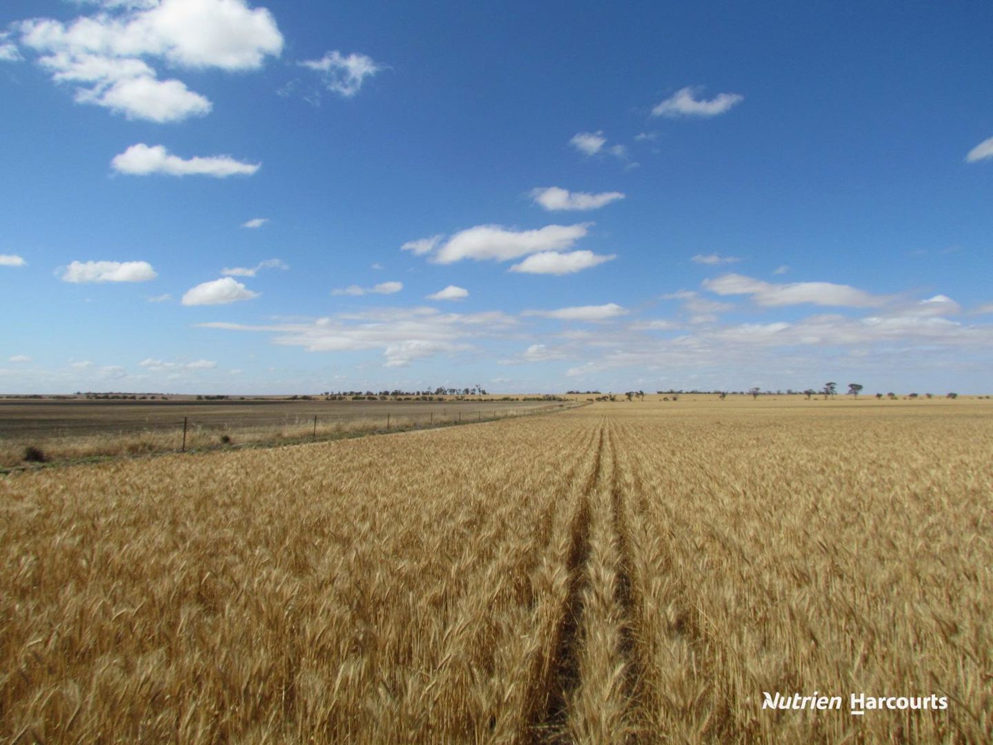 23924 Great Northern Highway Nugadong WA 6609