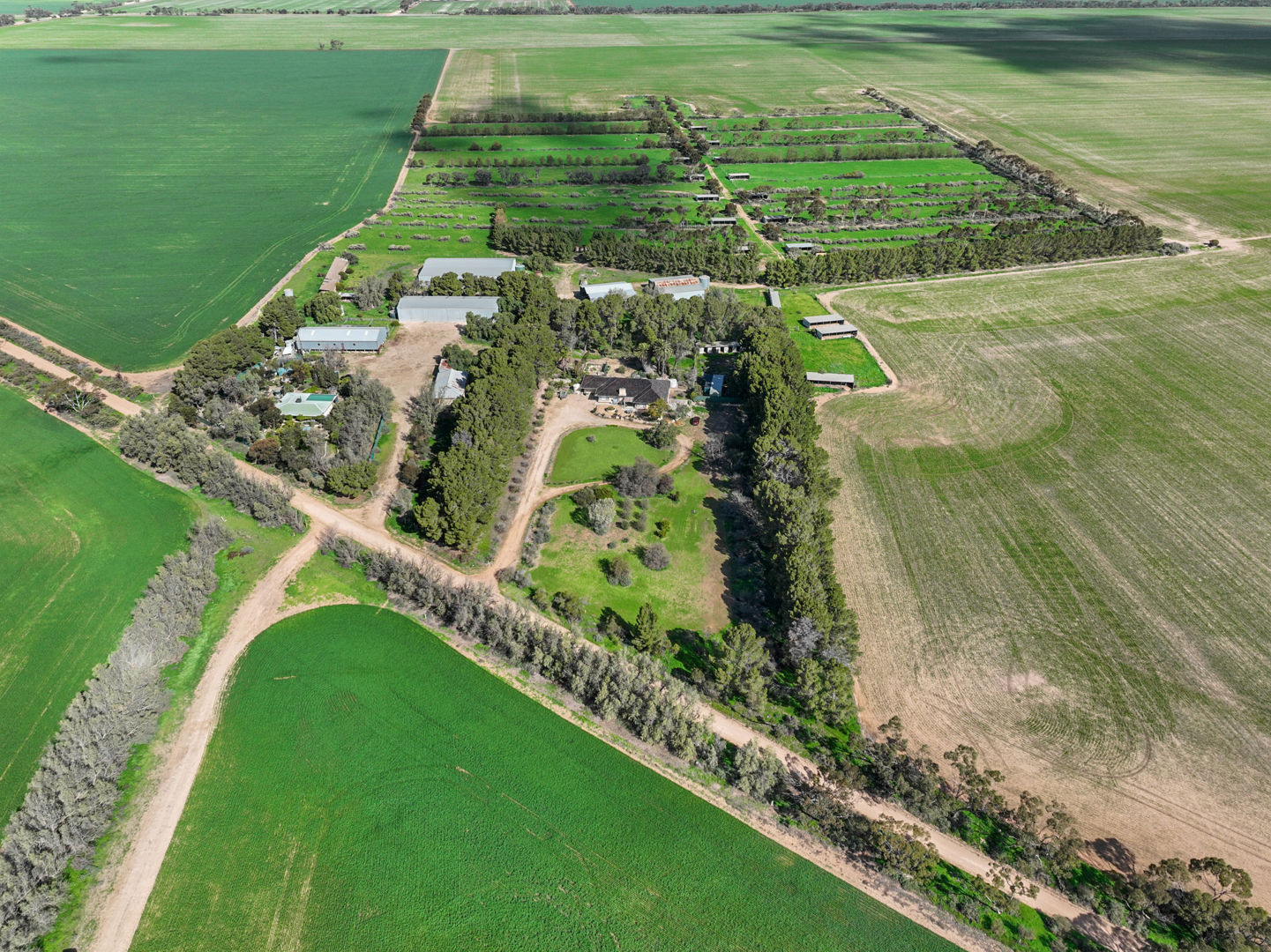 382 Rodda Road Boors Plain SA 5554