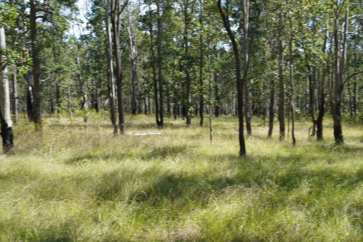 4 Kimbin Pikapene Road Tabulam NSW 2469