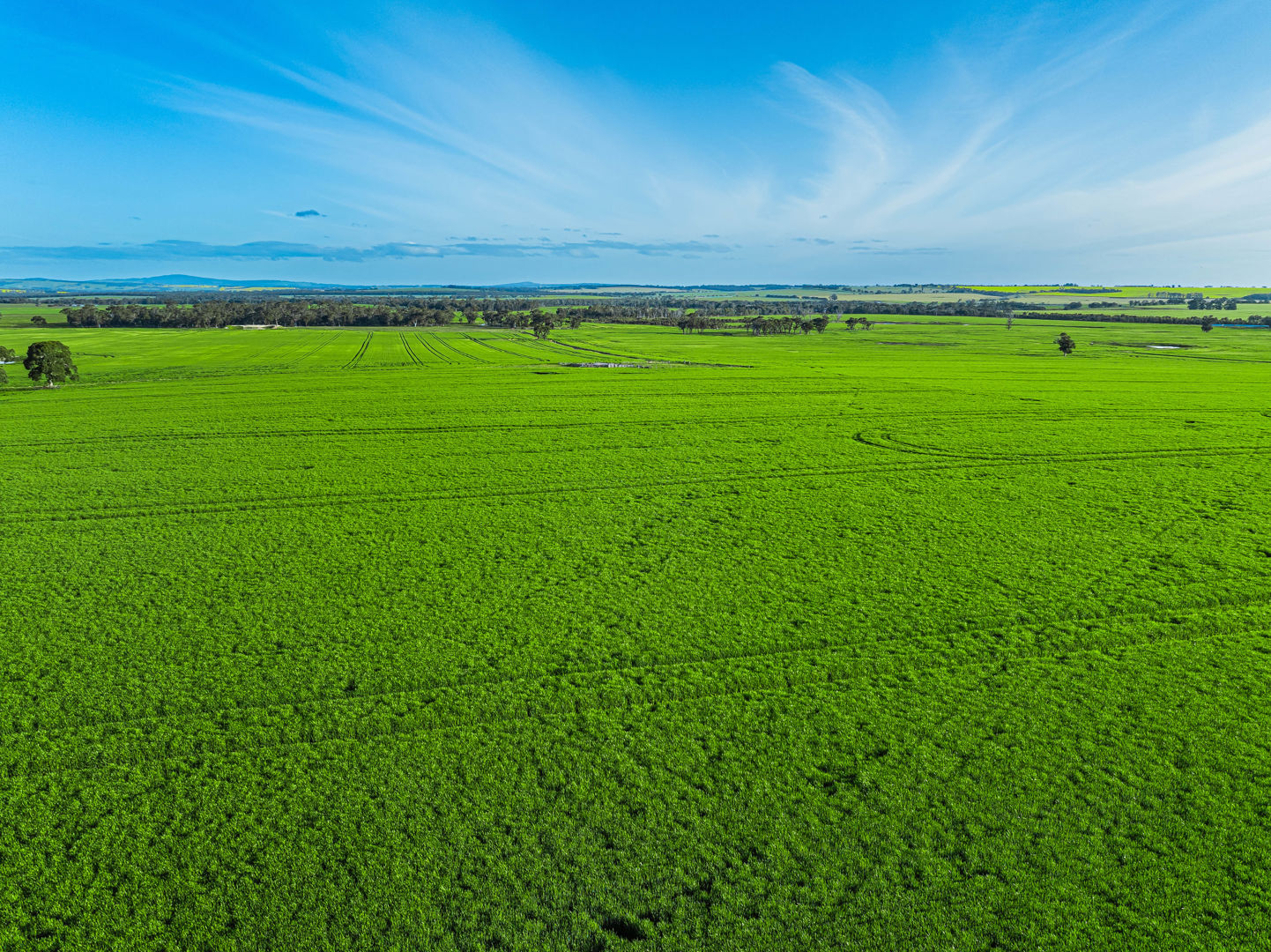 Address available by request