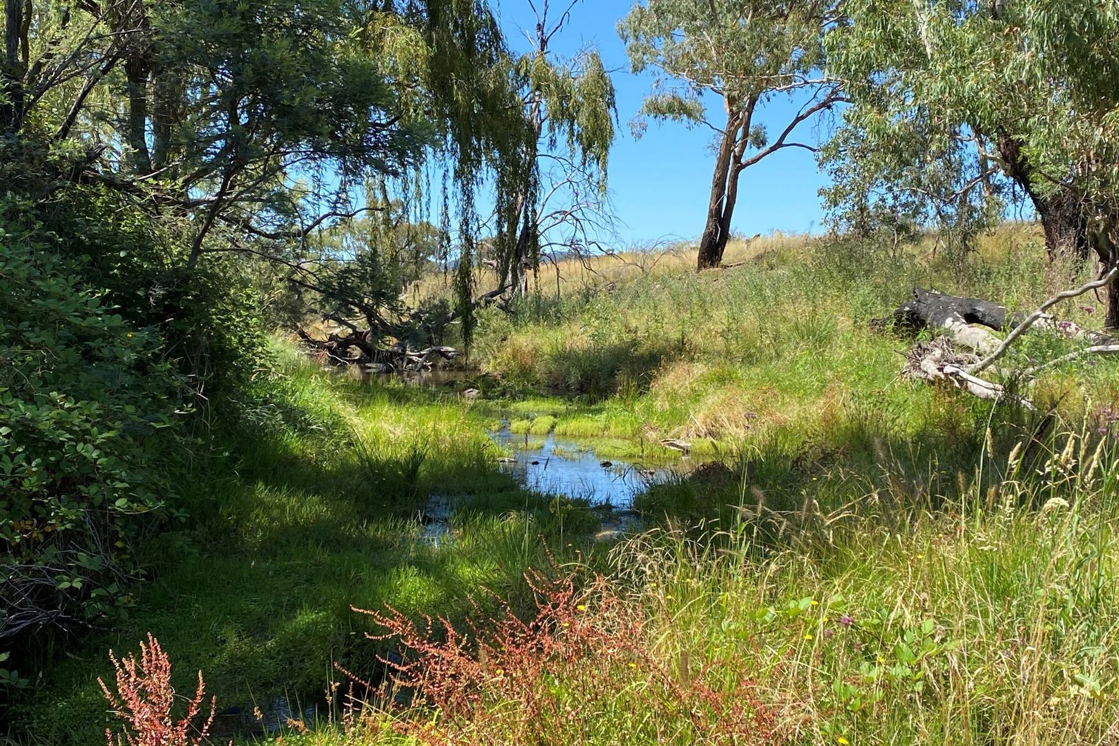  Campbells Creek Road Mudgee NSW 2850