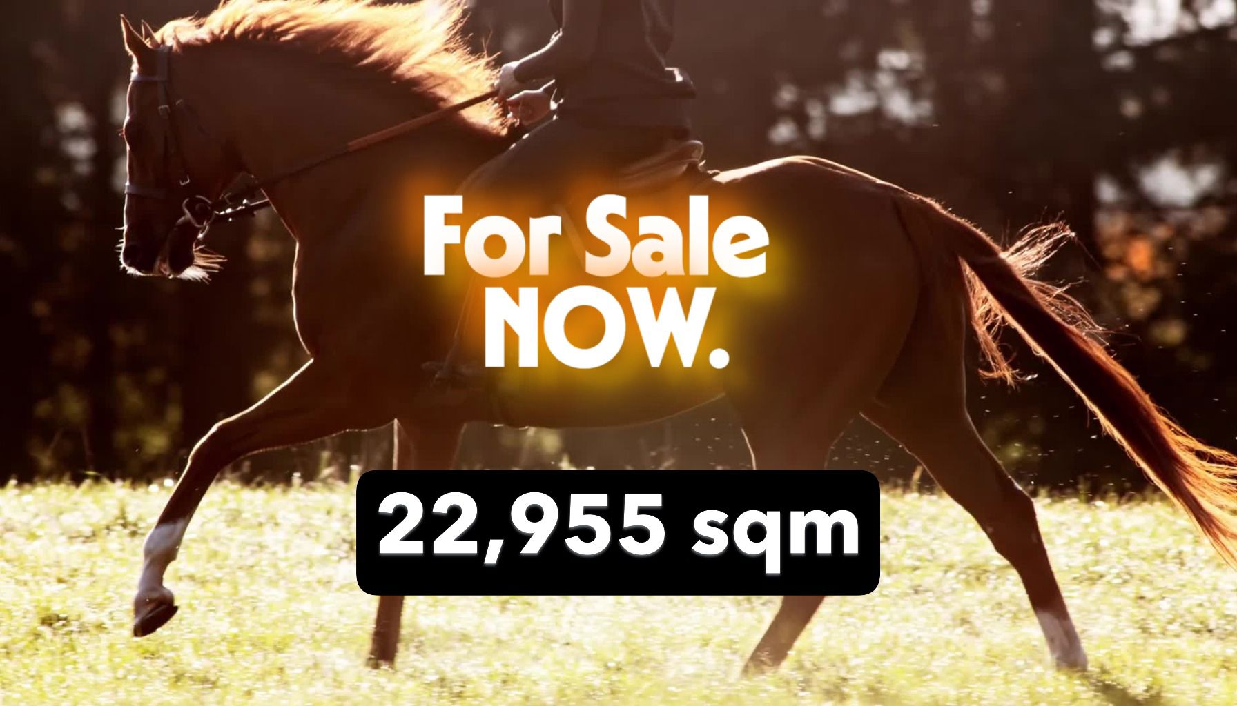 134 Athol Road Kudla SA 5115