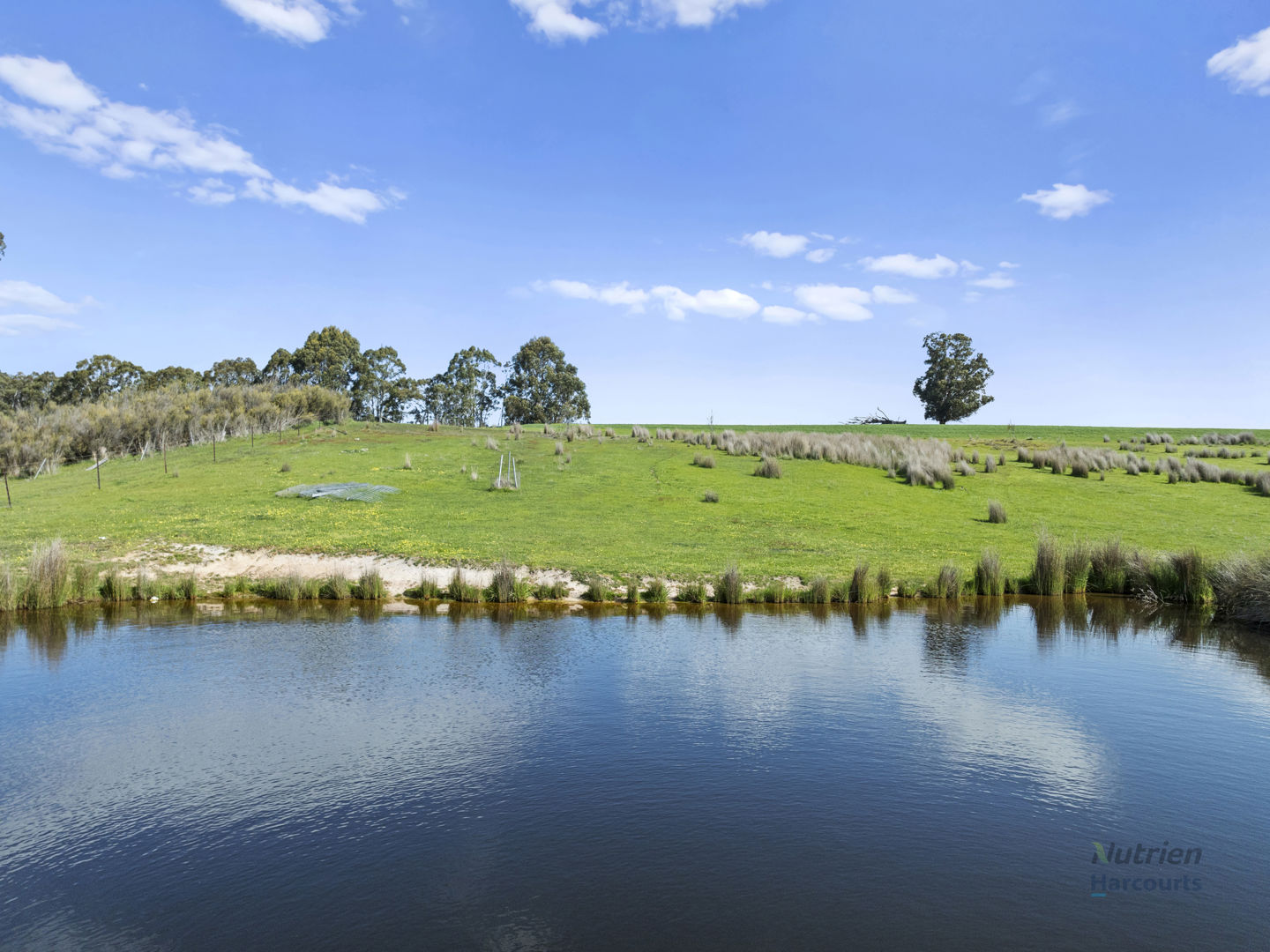 99 Tames Road Strathbogie VIC 3666