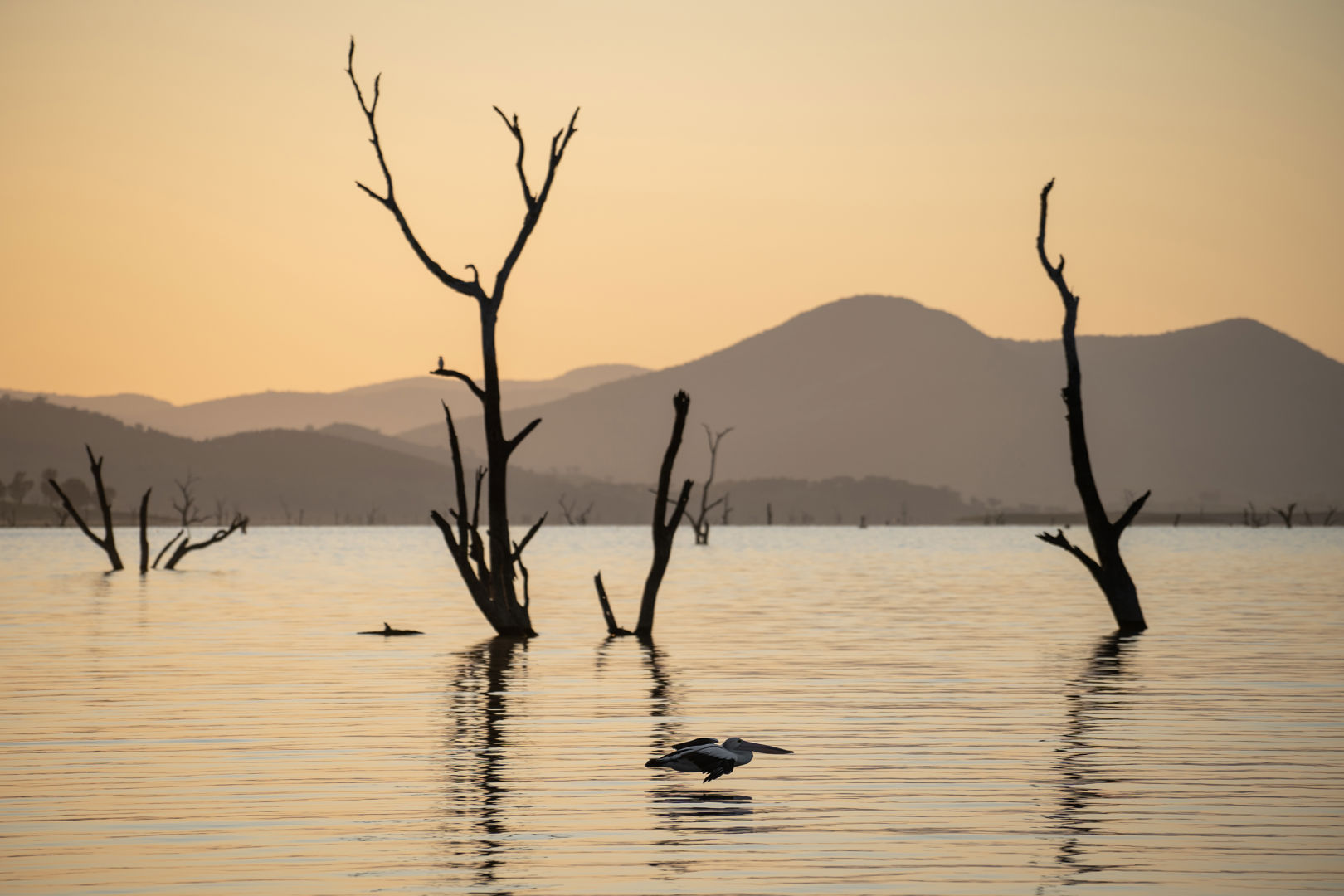 1074 Table Top Road Table Top NSW 2640