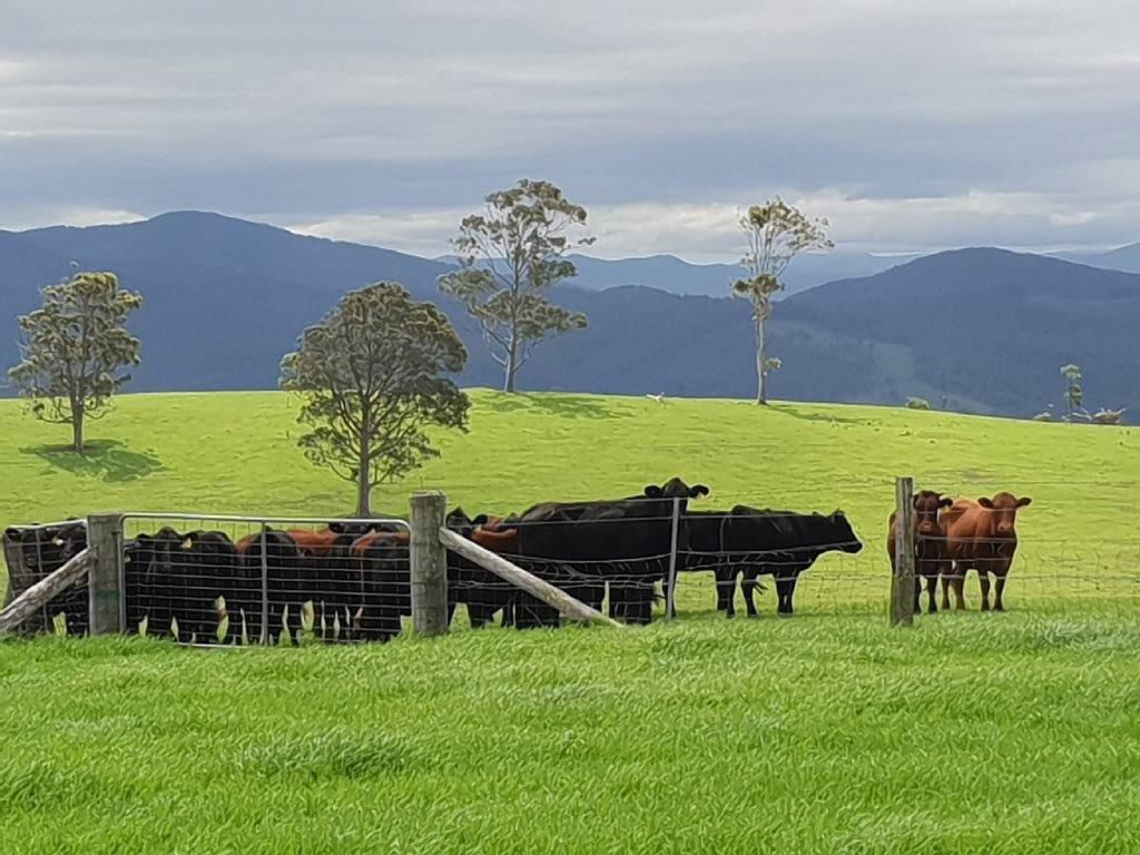 1420 Ebsworth Road Glen Martin NSW 2321
