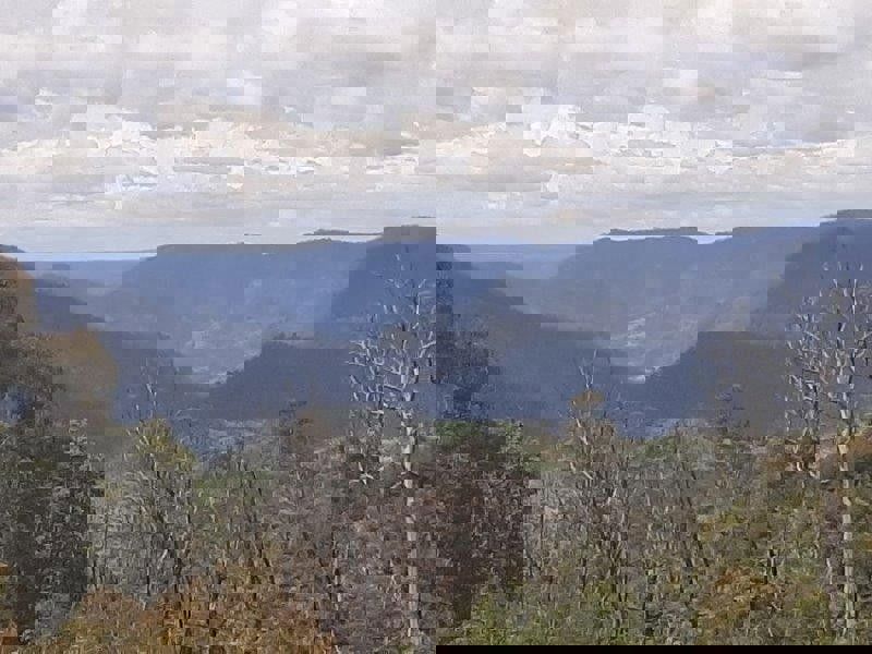 Address available by request