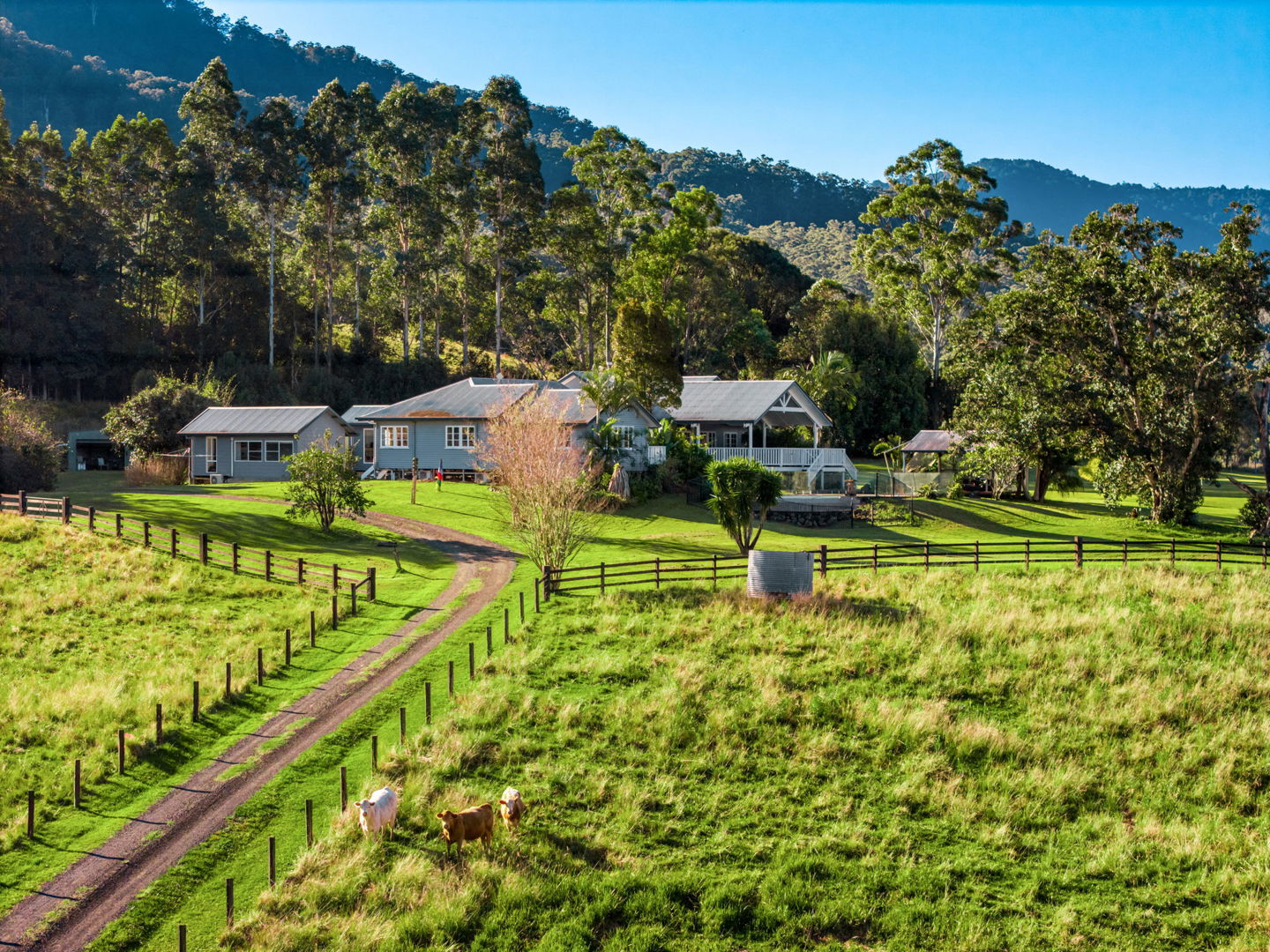Nimbin NSW 2480