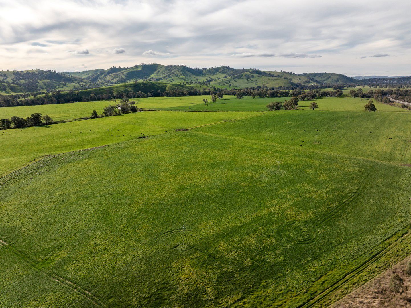 11 Edwardstown Road South Gundagai NSW 2722