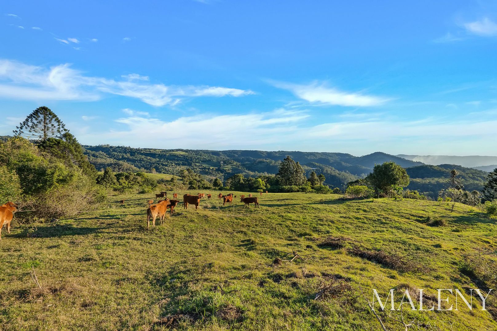 LOT 2 Maleny Kenilworth Road Witta QLD 4552