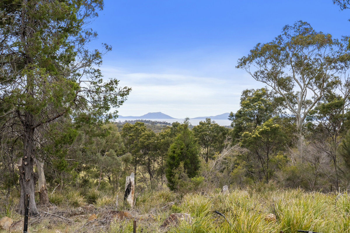 194 Bresnehans Road Little Swanport TAS 7190