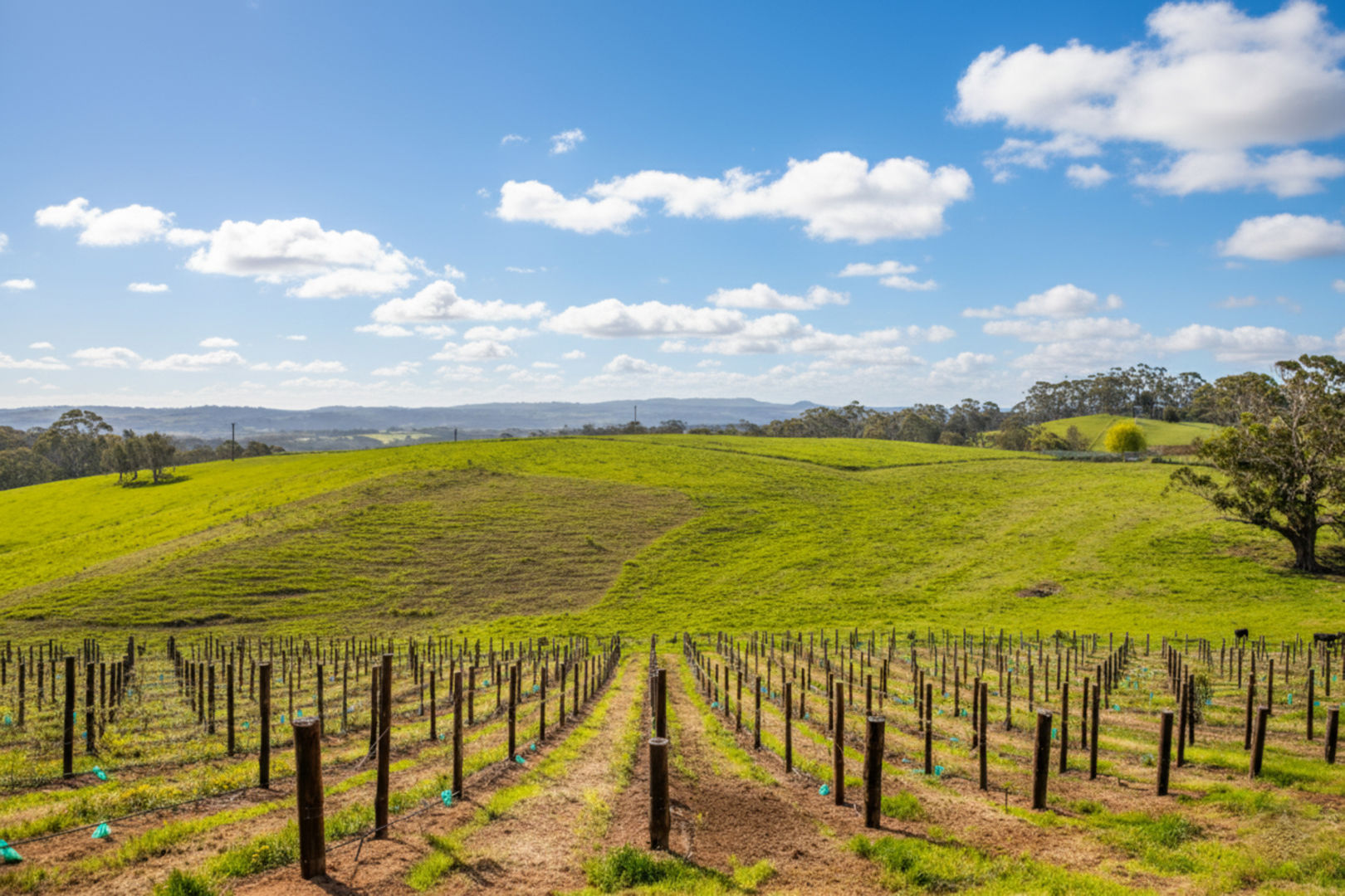 421 Hawthorn Road Echunga SA 5153