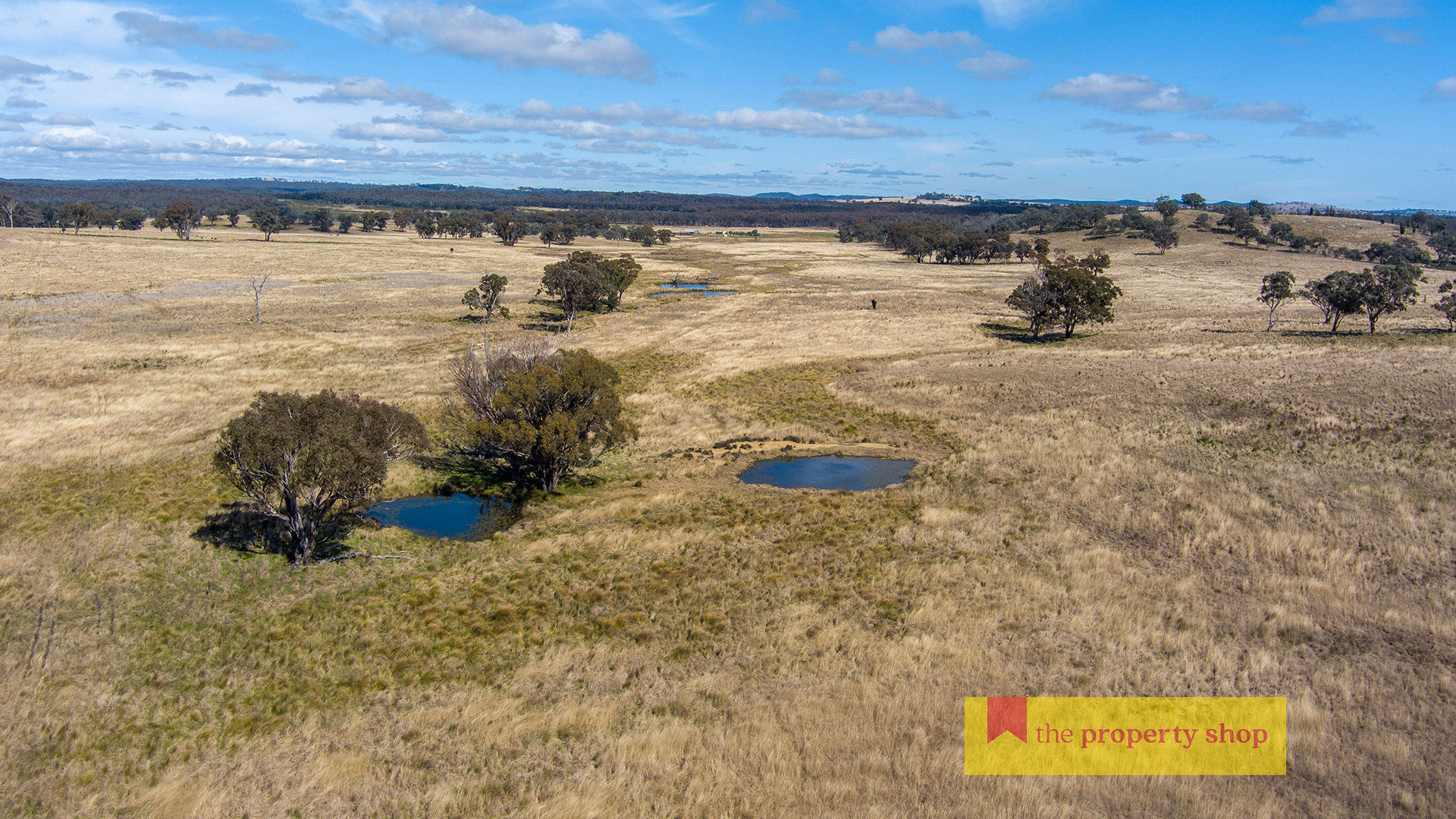 86 Brooklyn Road Dunedoo NSW 2844