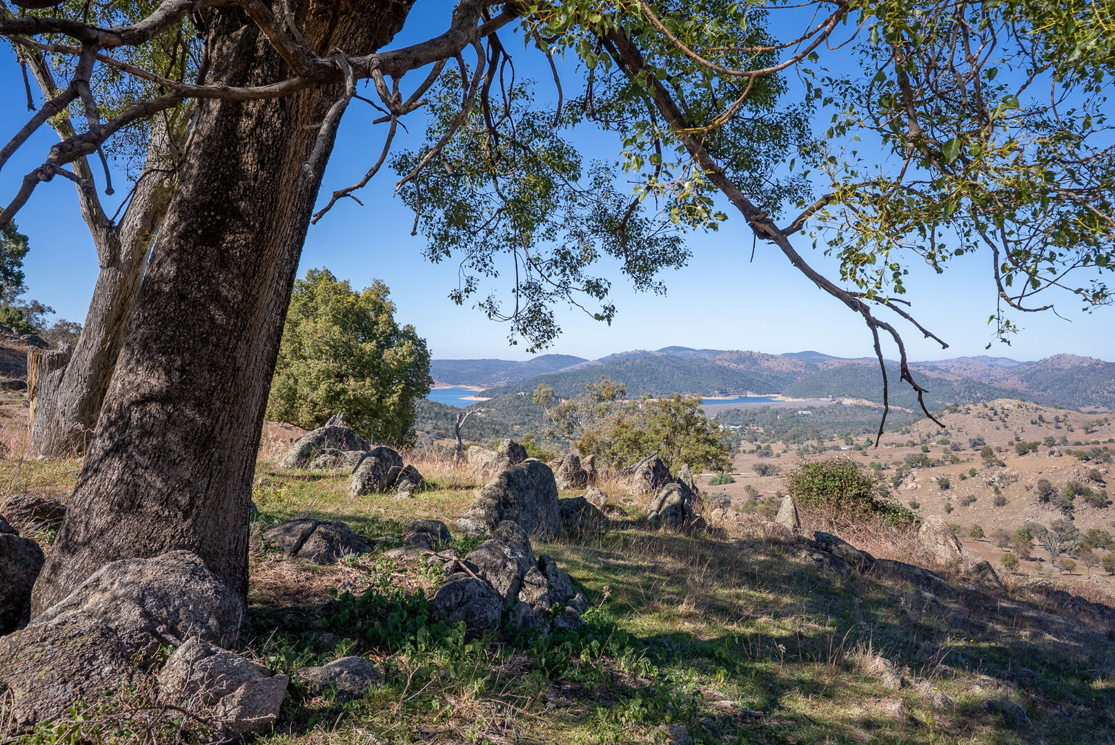 2656 Reg Hailstone Way Wyangala NSW 2808