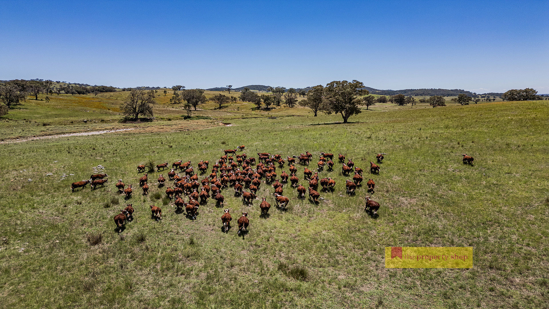 735 Kaludabah Road Mudgee NSW 2850