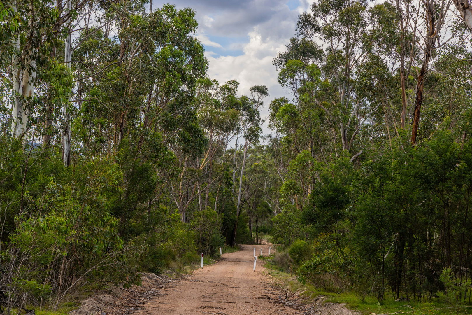 153 Murumba Rd, Bombay NSW 2622