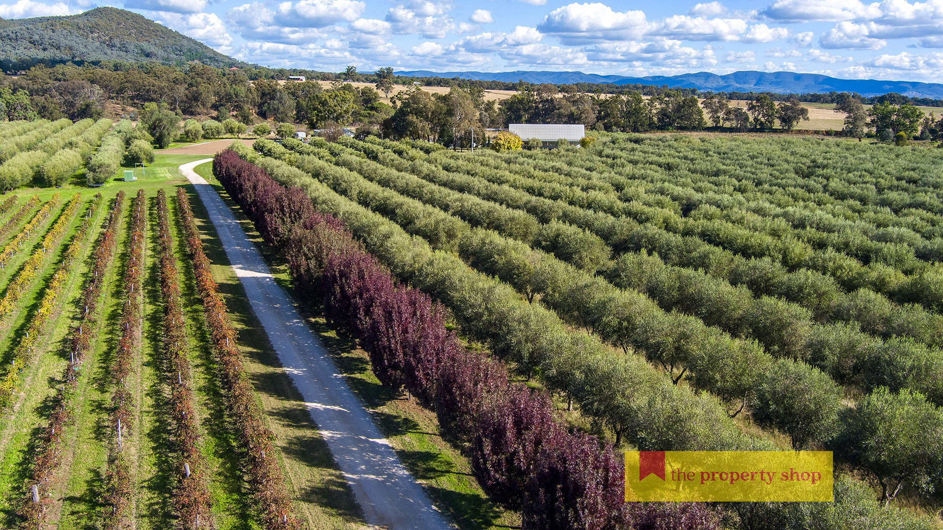 66 Pipeclay Lane Mudgee NSW 2850