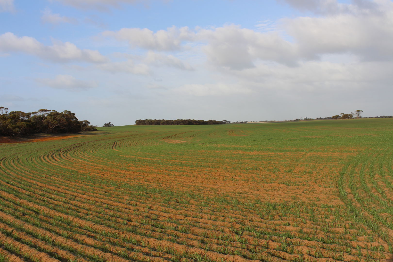 Lot 95 Geranium North Road Geranium SA 5301