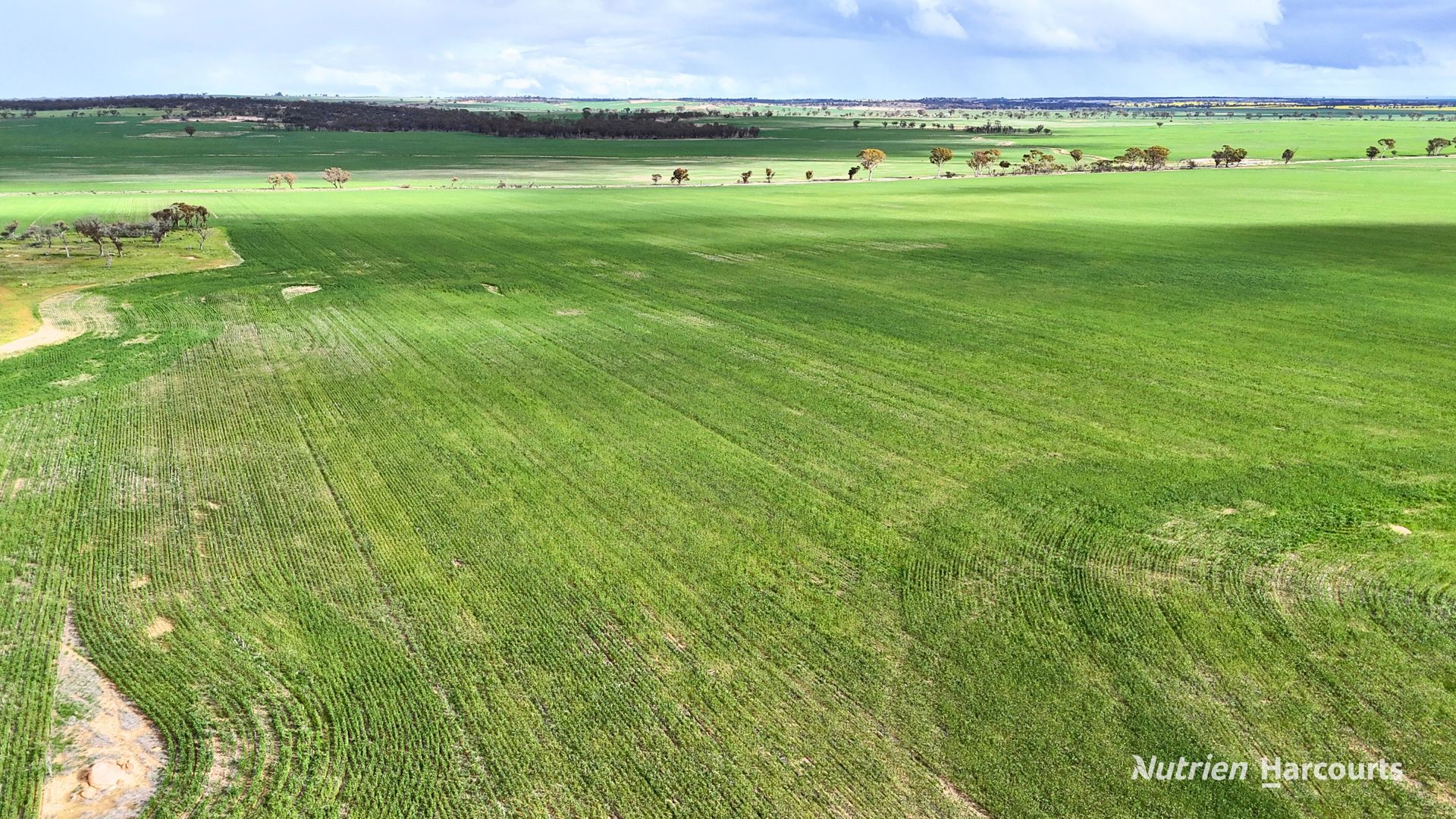 "Southies" Fewster Road Korbel WA 6415