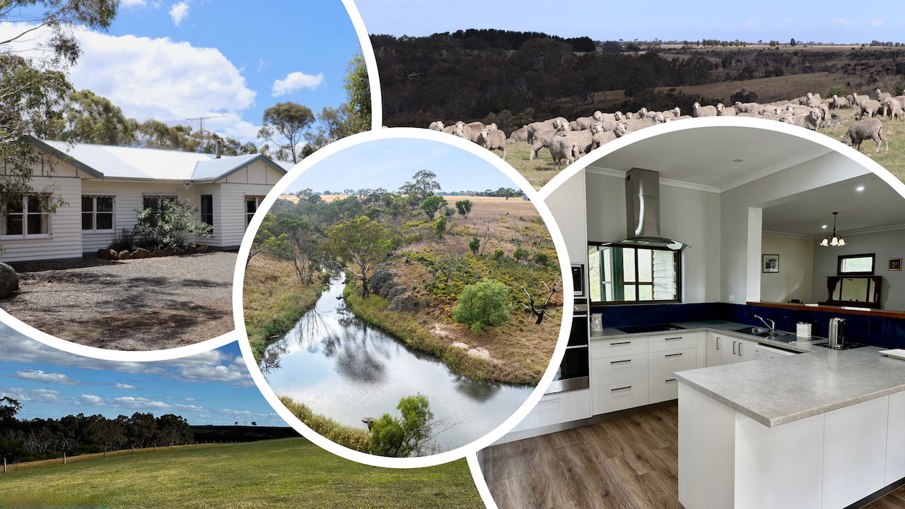 649 LONIES ROAD Shelford VIC 3329