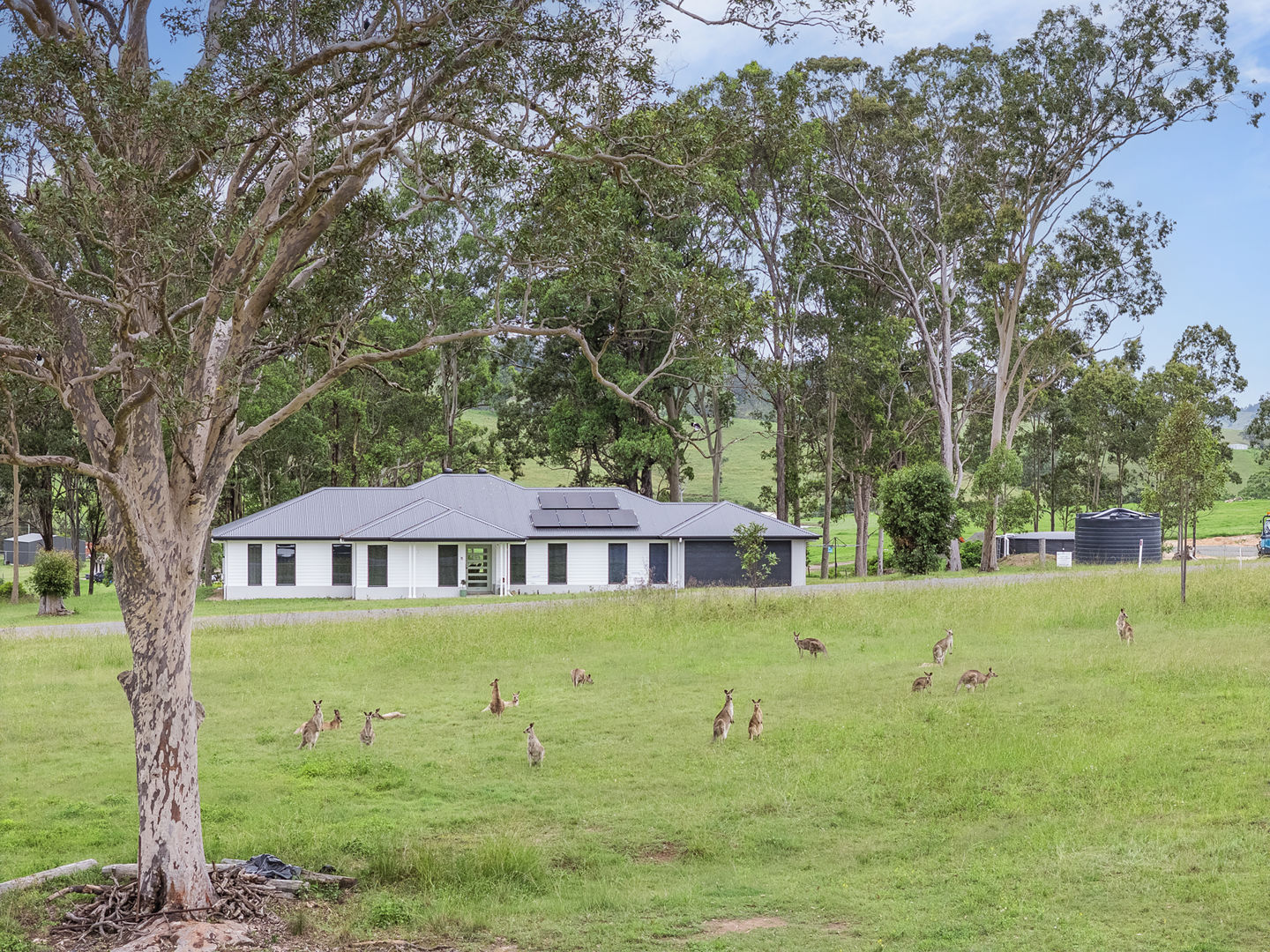 11 Burrawang Close East Gresford NSW 2311