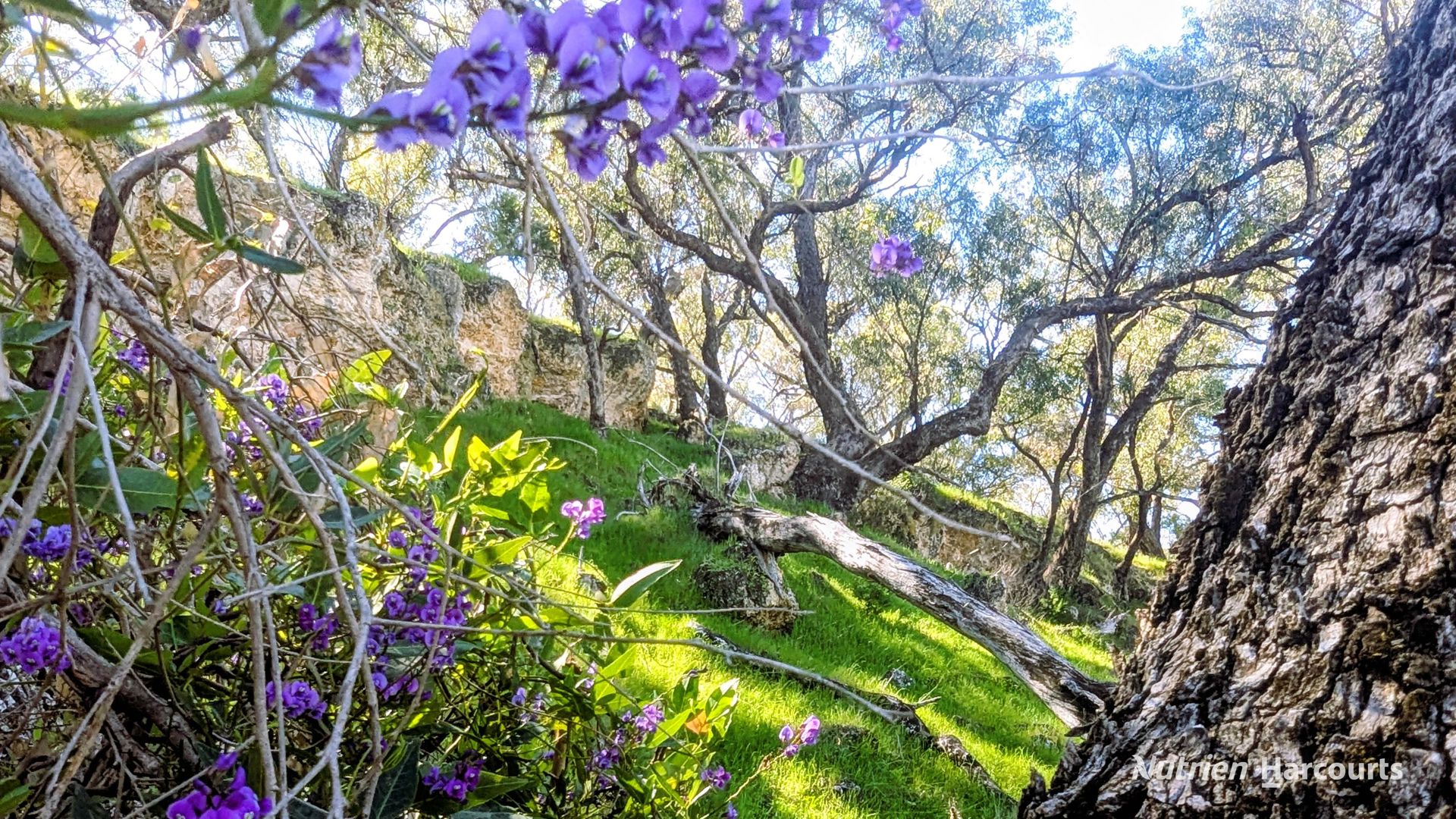 Lot 51 Millbank Road Cowalla WA 6503