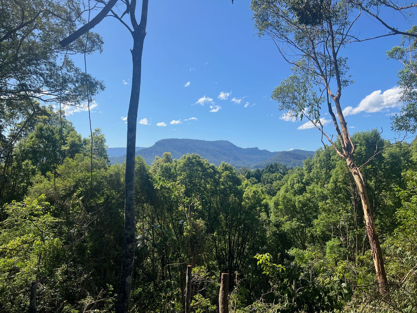 345 Tuntable Falls Road Nimbin NSW 2480